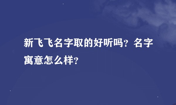 新飞飞名字取的好听吗？名字寓意怎么样？