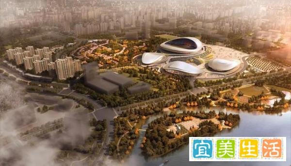 王思聪穿休闲服会见泰安市委书记!泰山文旅健身中心签约