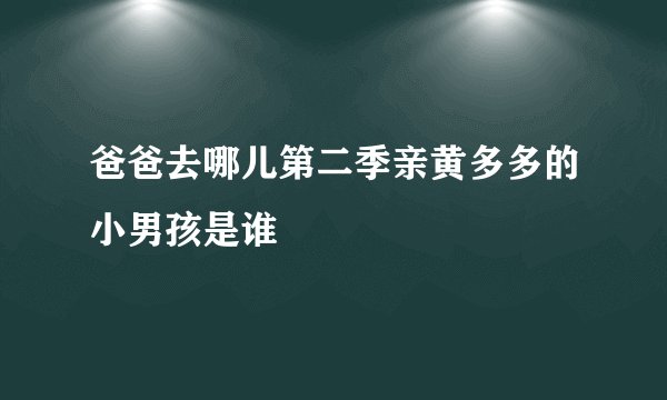 爸爸去哪儿第二季亲黄多多的小男孩是谁