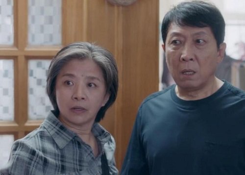 安家老严夫妇最后结局