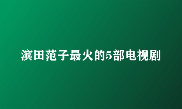 滨田范子最火的5部电视剧