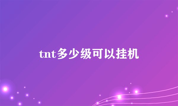 tnt多少级可以挂机