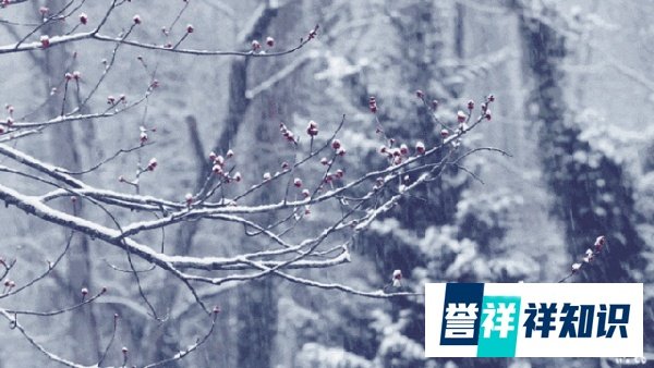 大雪，大暴雪！河南将迎极端性降雪|郑州城市日报 20240129