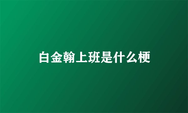 白金翰上班是什么梗