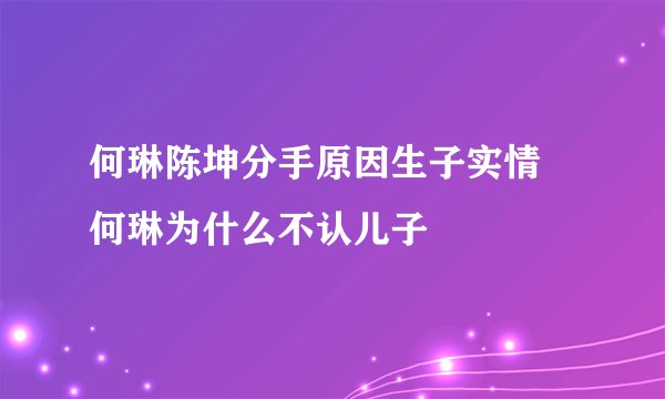 何琳陈坤分手原因生子实情 何琳为什么不认儿子
