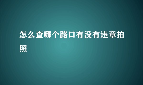 怎么查哪个路口有没有违章拍照