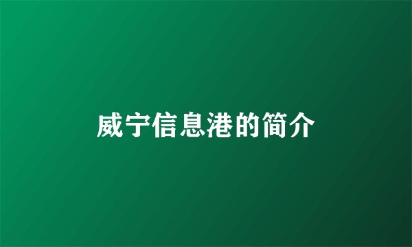威宁信息港的简介
