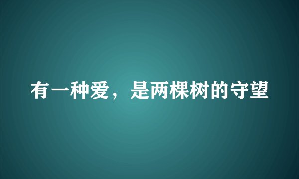 有一种爱,是两棵树的守望
