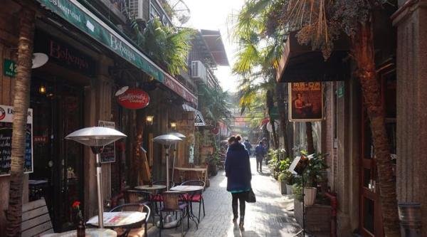 自由的风