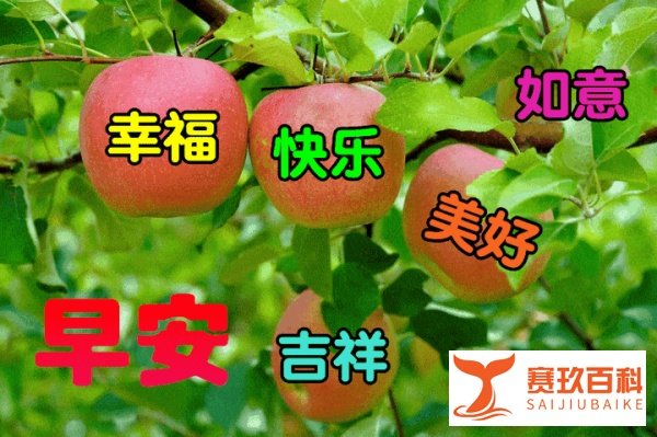 2021年5月24日星期一清晨早上好问候语图片 周一最新早安问候祝福图片带字温馨