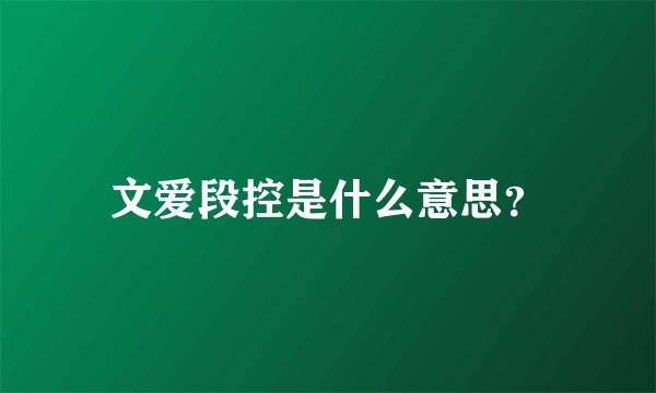 文爱段控是什么意思？
