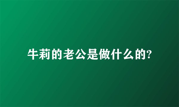 牛莉的老公是做什么的?