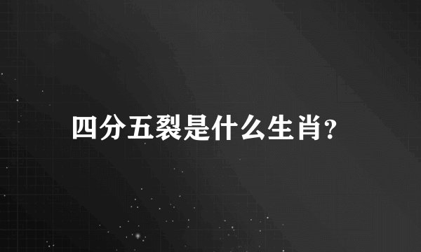 四分五裂是什么生肖？
