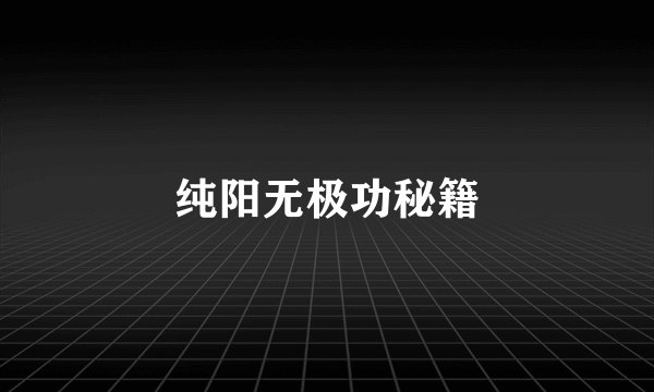纯阳无极功秘籍