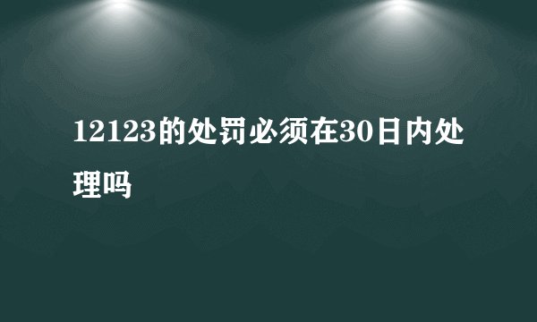 12123的处罚必须在30日内处理吗