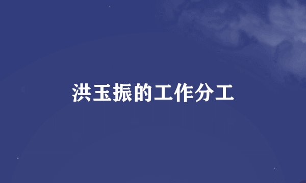 洪玉振的工作分工
