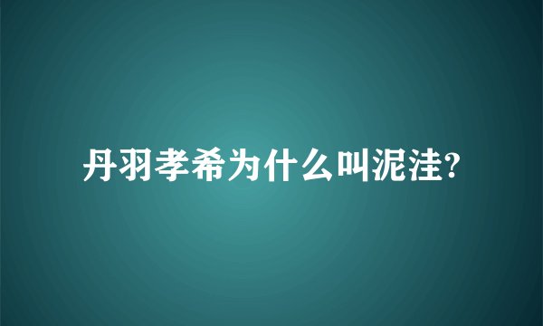 丹羽孝希为什么叫泥洼?