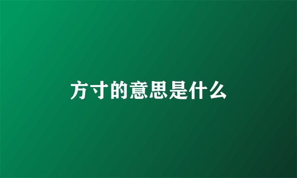 方寸的意思是什么