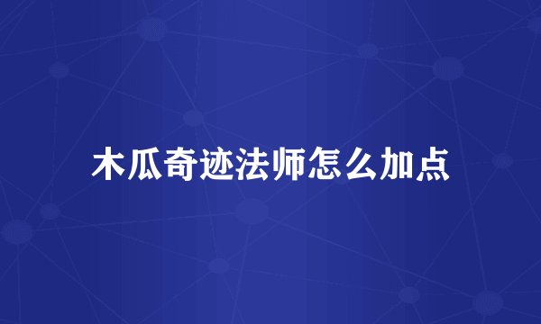 木瓜奇迹法师怎么加点