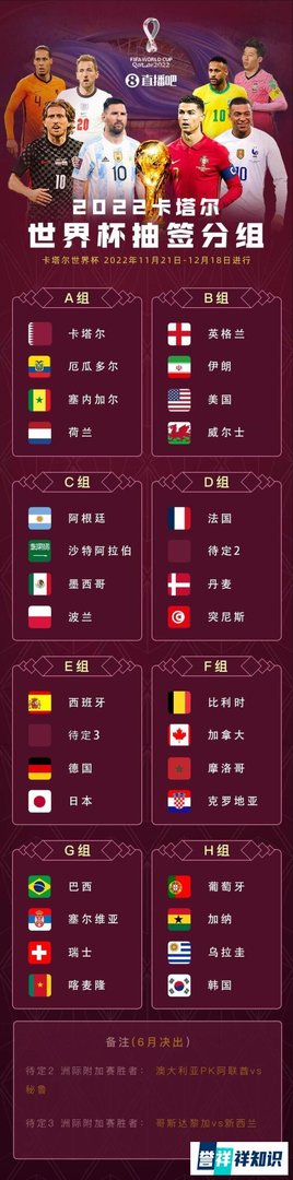 威尔士搭上末班车!欧洲区13个世界杯参赛球队全部确定