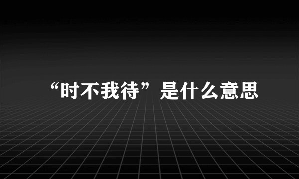 “时不我待”是什么意思