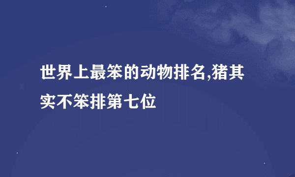 世界上最笨的动物排名,猪其实不笨排第七位