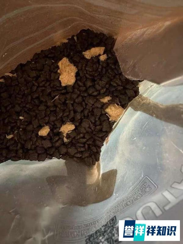 佑它猫粮到底怎么样?无广测评