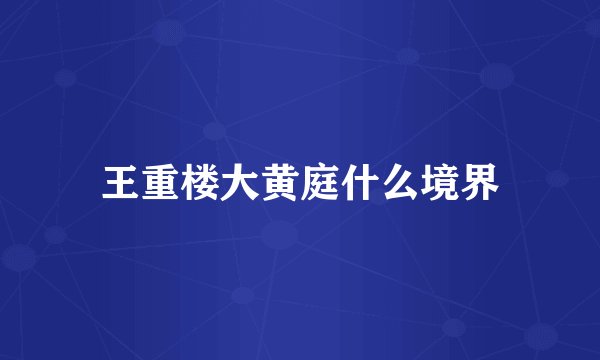 王重楼大黄庭什么境界