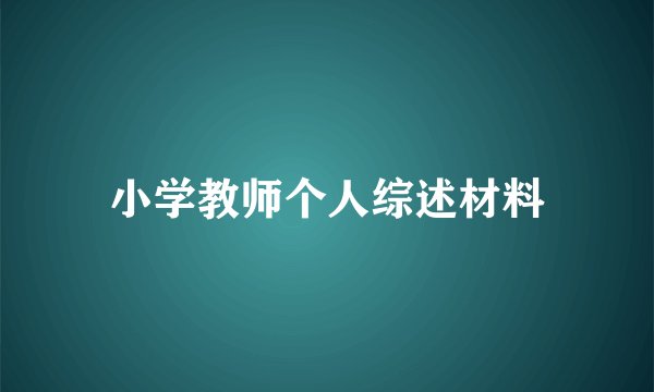 小学教师个人综述材料