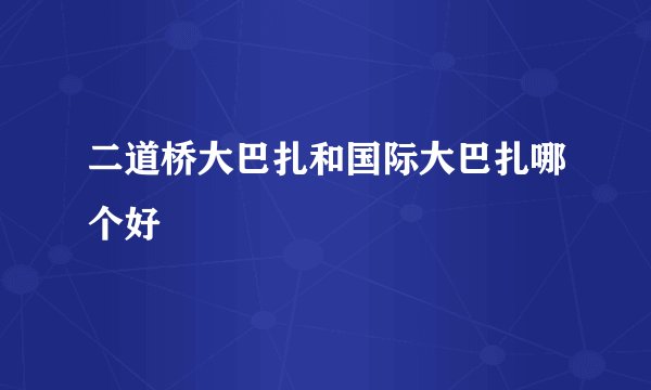 二道桥大巴扎和国际大巴扎哪个好