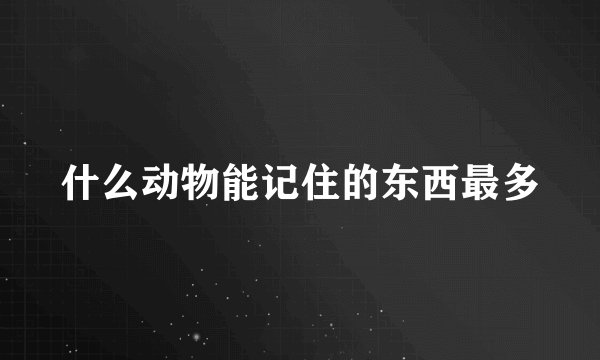 什么动物能记住的东西最多