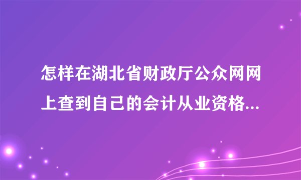 怎样在湖北省财政厅公众网网上查到自己的会计从业资格证号及相关信息