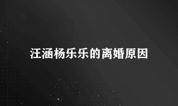 汪涵杨乐乐的离婚原因