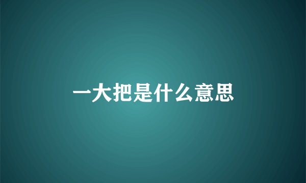 一大把是什么意思