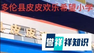 PDD低调投身公益，耗资2500万捐助的希望小学建成，网友点赞！