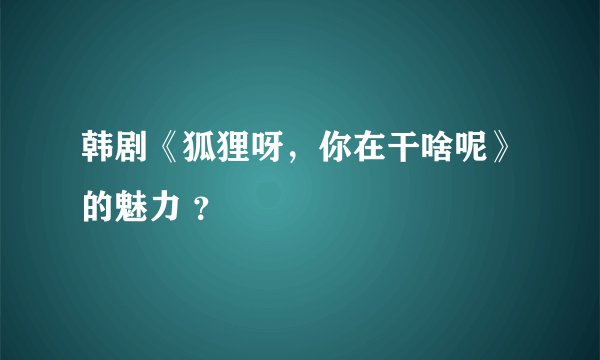 韩剧《狐狸呀，你在干啥呢》的魅力 ？