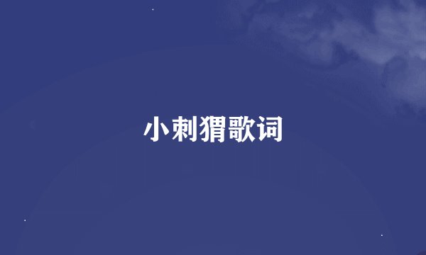 小刺猬歌词