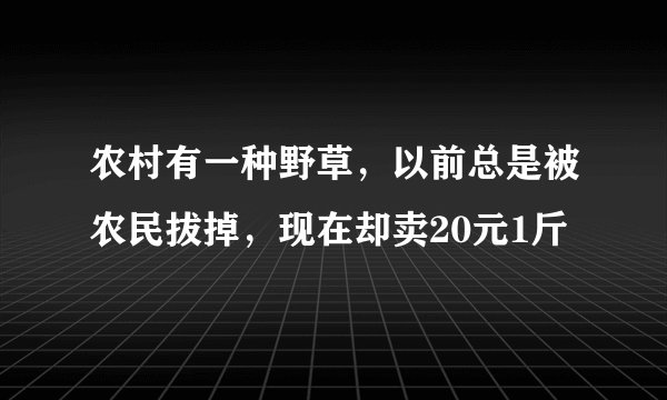 农村有一种野草，以前总是被农民拔掉，现在却卖20元1斤