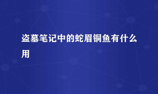 盗墓笔记中的蛇眉铜鱼有什么用