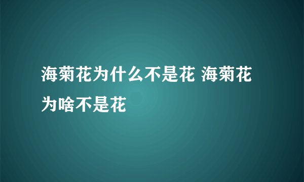 海菊花为什么不是花 海菊花为啥不是花