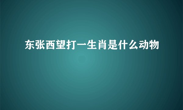 东张西望打一生肖是什么动物