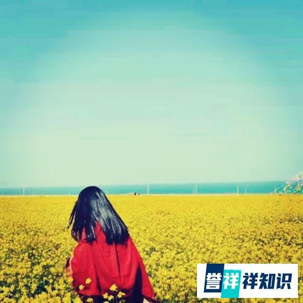 乐嘉《本色》——是我也是你
