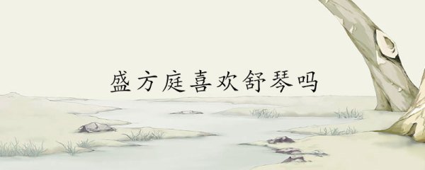盛方庭是否喜欢舒琴