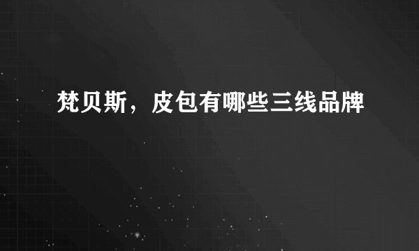 梵贝斯，皮包有哪些三线品牌