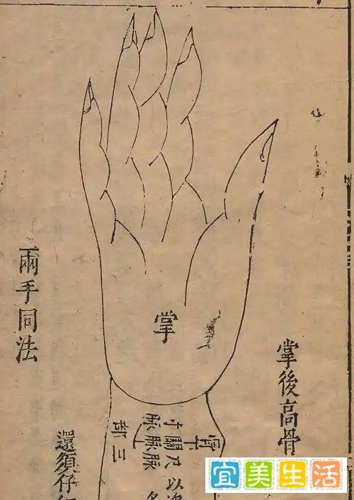 《脉经》中的雀啄脉,必死无疑吗?