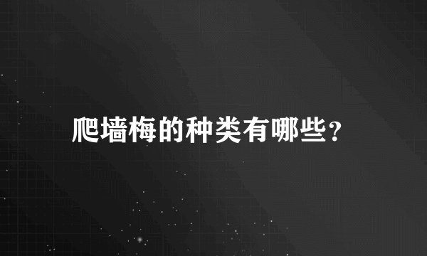 爬墙梅的种类有哪些？