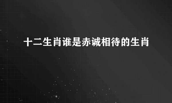 十二生肖谁是赤诚相待的生肖