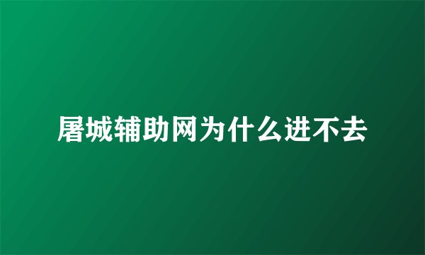 屠城辅助网为什么进不去
