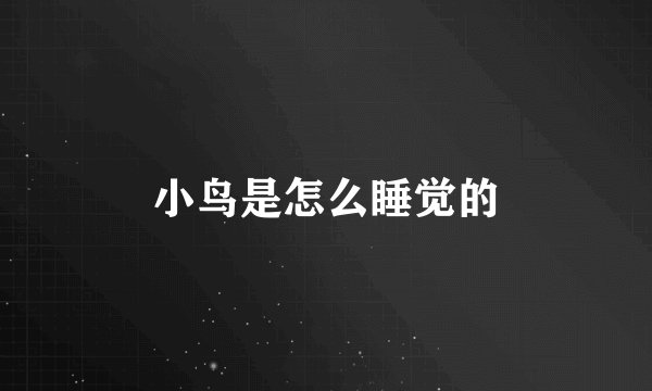 小鸟是怎么睡觉的