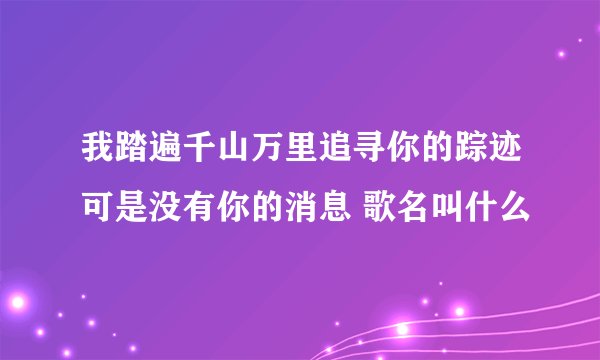 我踏遍千山万里追寻你的踪迹可是没有你的消息 歌名叫什么